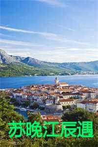 苏晚江辰遇