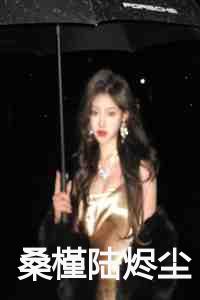 桑槿陆烬尘