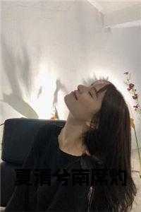 夏清兮南席灼全文