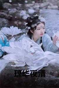 琼华夜清小说