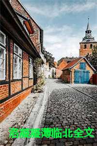 洛凝凝薄临北全文