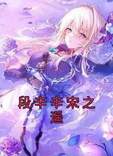 段辛辛宋之遥纯净无弹窗版