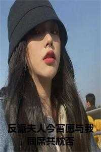 反派夫人今宵愿与我同席共枕否免费