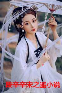 段辛辛宋之遥小说