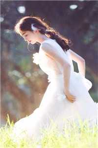 浏览开局：系统崩溃，我走上人生巅峰