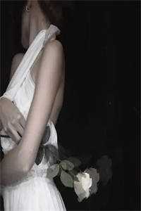 古言：权倾天下，只为你倾心精选篇章