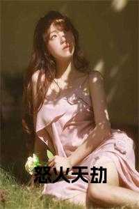 怒火天劫小说