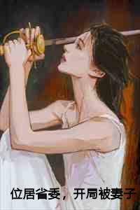 位居省委，开局被妻子举报：黎锦