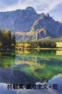 林毓奚 盛淮全文+后续