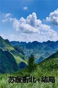苏暖靳北+结局