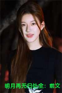 明月再无归处全：前文+后续