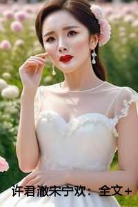 许君澈宋宁欢：全文+结局+番外