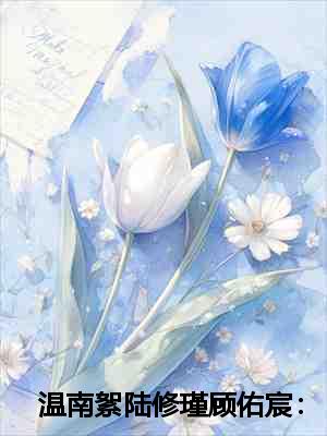 温南絮陆修瑾顾佑宸：结局+番外