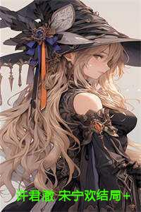 许君澈 宋宁欢结局+番外