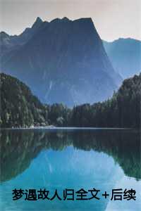 梦遇故人归全文+后续