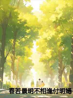 春若景明不相逢付明嫣顾景程：结局+番外