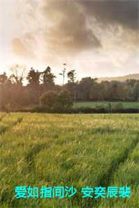 爱如指间沙 安奕辰裴雪期完结+番外