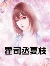 霍司丞夏枝完结无弹窗