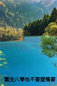 重生八零他不要爱情要理想：结局+番外+后续