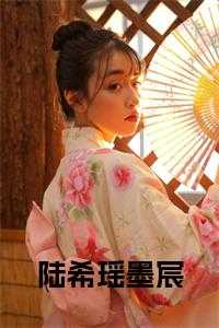 陆希瑶墨宸全文阅读