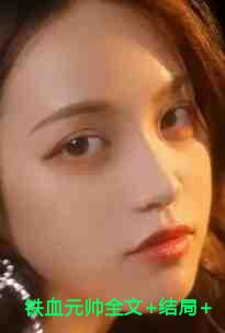 铁血元帅全文+结局+番外