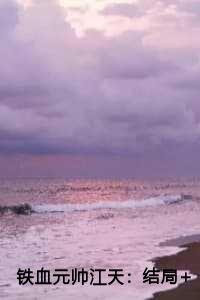 铁血元帅江天：结局+番外