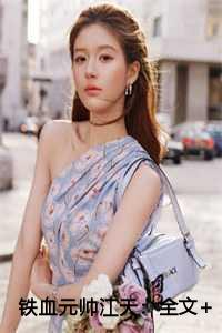 铁血元帅江天：全文+结局+番外