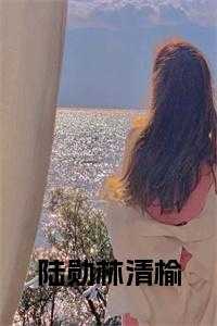 陆勋林清榆小说