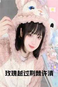 玫瑰越过荆棘许清阅读完整