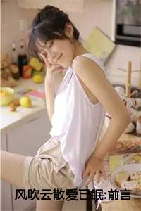 风吹云散爱已眠:前言+后续