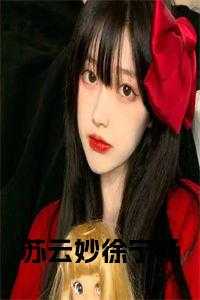 苏云妙徐宁畅小说名字