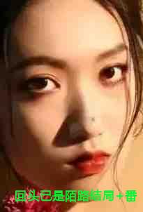 回头已是陌路结局+番外