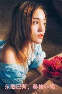 东隅已逝，桑榆非晚：结局+番外