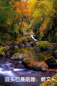 回头已是陌路：前文+后续