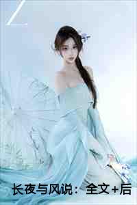 长夜与风说：全文+后续+大结局