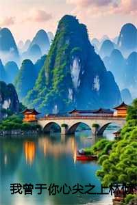 我曾于你心尖之上林倾夏