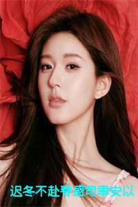 迟冬不赴春盛司聿安以夏完结篇+续集+彩蛋