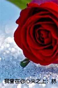 我曾在你心尖之上：林倾夏全文+后续