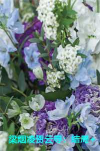 梁烟凌贺云寻：结局+番外