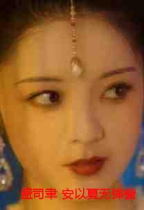 盛司聿 安以夏无弹窗+完结+番外