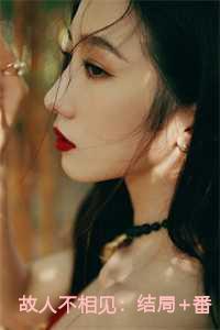 故人不相见：结局+番外