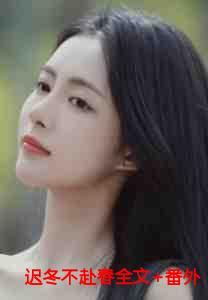 迟冬不赴春全文+番外+无弹窗