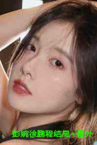 彭婉徐鹏程结局+番外