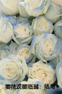 姜筱议顾临越：结局+番外+完结