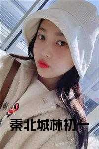 秦北城林初一小说名字