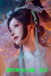 盛司聿 安以夏：全文+后续