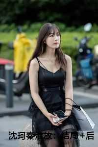 沈珂秦淮放：结局+后续+番外