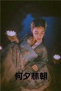 何夕林朝后续阅读