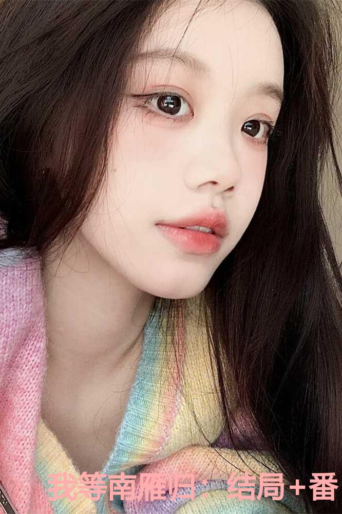 我等南雁归：结局+番外