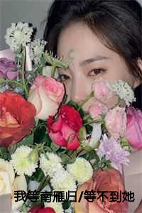 我等南雁归/等不到她回头：结局+番外